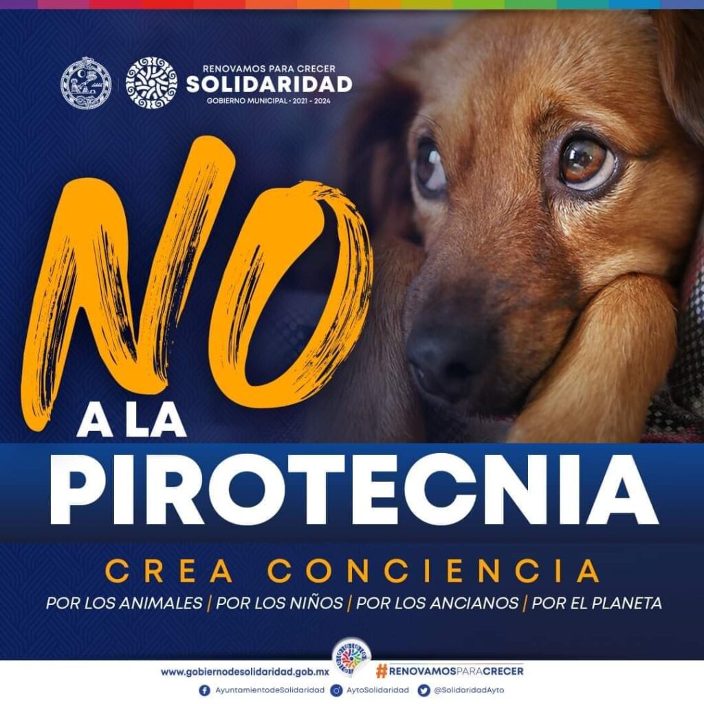 Gobierno municipal exhorta a evitar el uso de pirotecnia en época decembrina