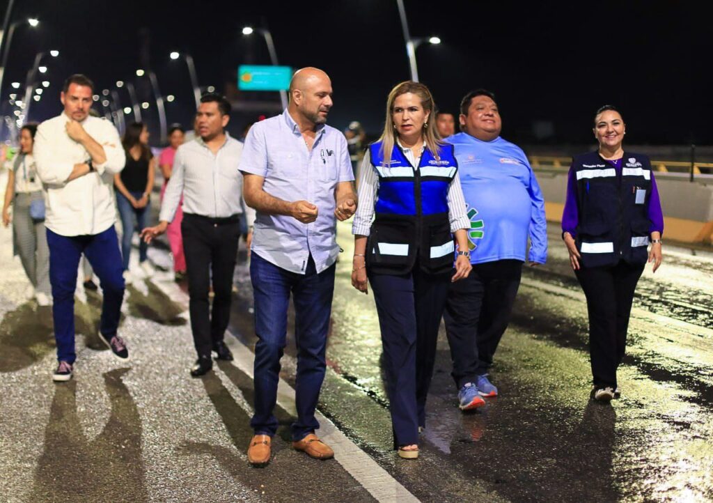 Lili Campos renueva la iluminación en puente a desnivel