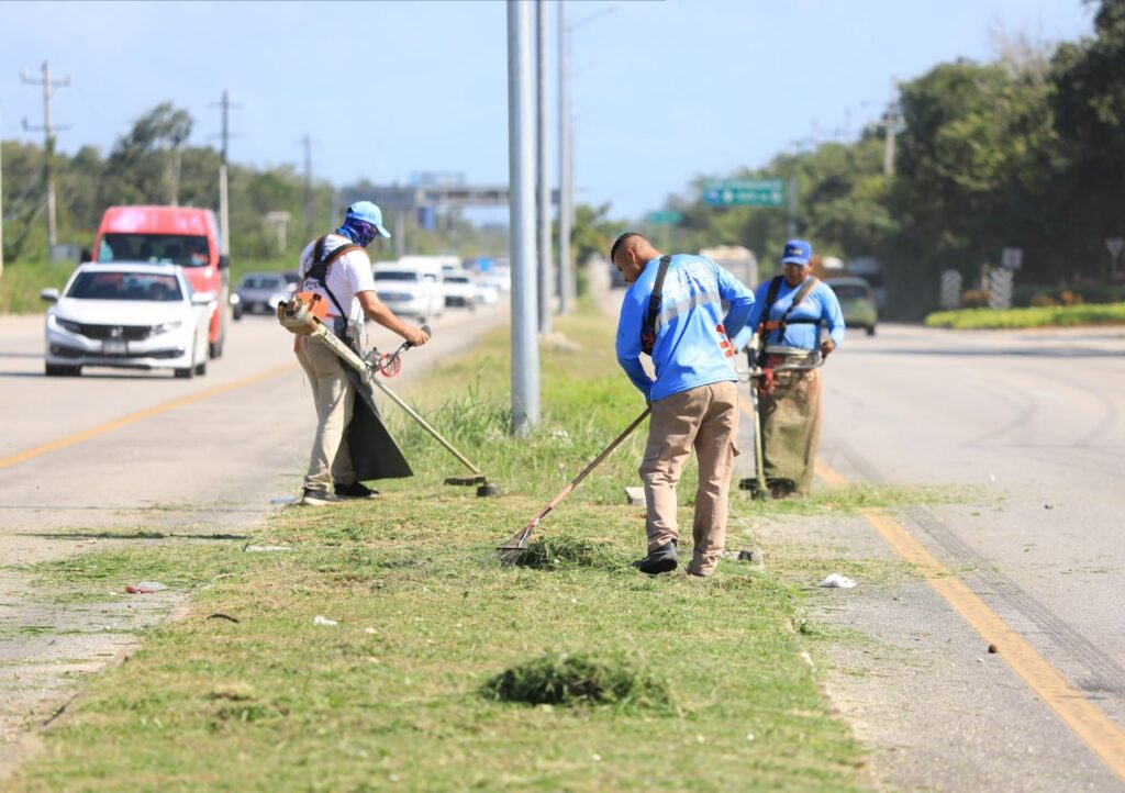 Gobierno de Solidaridad refuerza limpieza en tramos carreteros