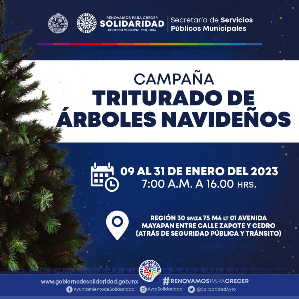 Gobierno abre centro de copio para árboles de navidad