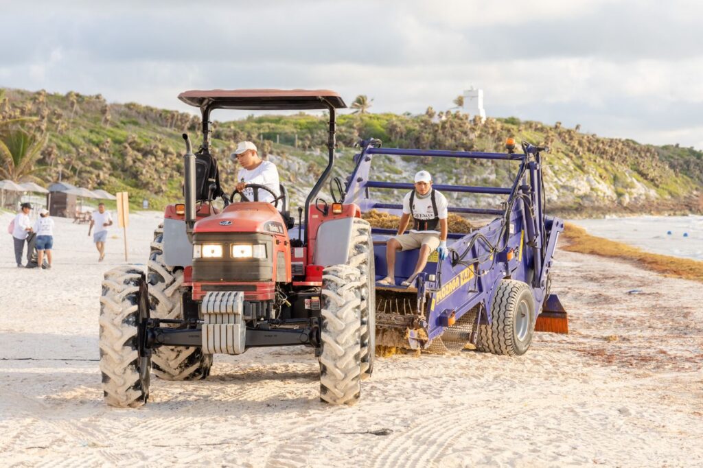 Inicia limpieza de playas en Tulum 