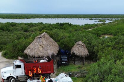 Gobierno de Mary Hernández retira toneladas de basura de Punta Herrero