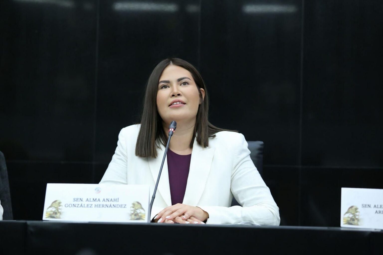 Decisiones legislativas firmes para el desarrollo de niñas y niños: Anahí González