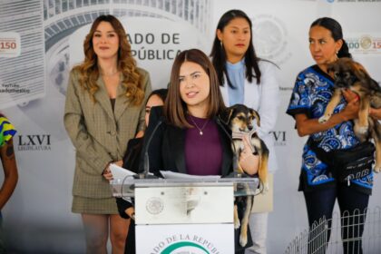 Presenta Anahí González Ley General en Materia de Bienestar, Cuidado y Protección de los Animales