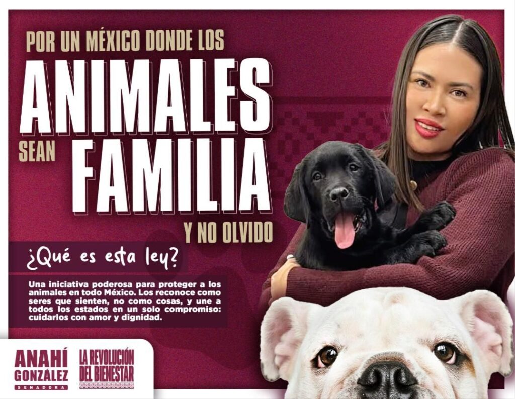 Presenta Anahí González Ley General en Materia de Bienestar, Cuidado y Protección de los Animales