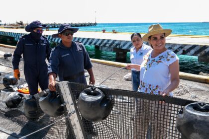 Anuncia Mara Lezama creación del Centro Integral de Saneamiento y Economía Circular del Sargazo, que convertirá pasivos en activos