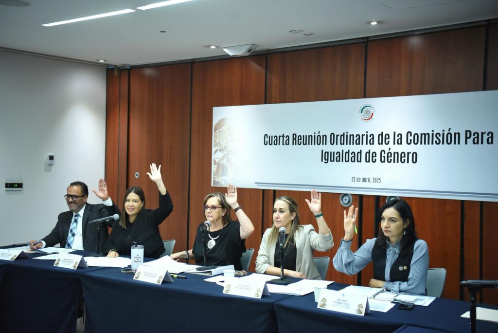 Impulsan acciones afirmativas en igualdad género para todo México, aprueban dictamen de la senadora Anahí González