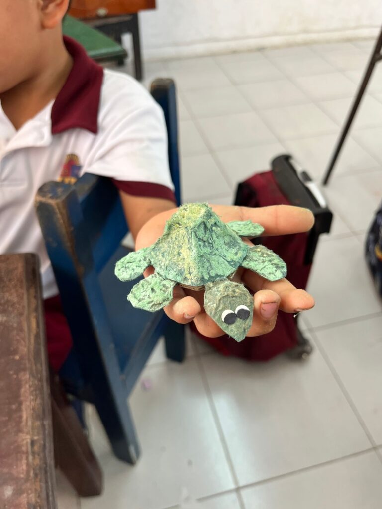 Impulsan concientización sobre cuidado de tortugas marinas en Felipe Carrillo Puerto