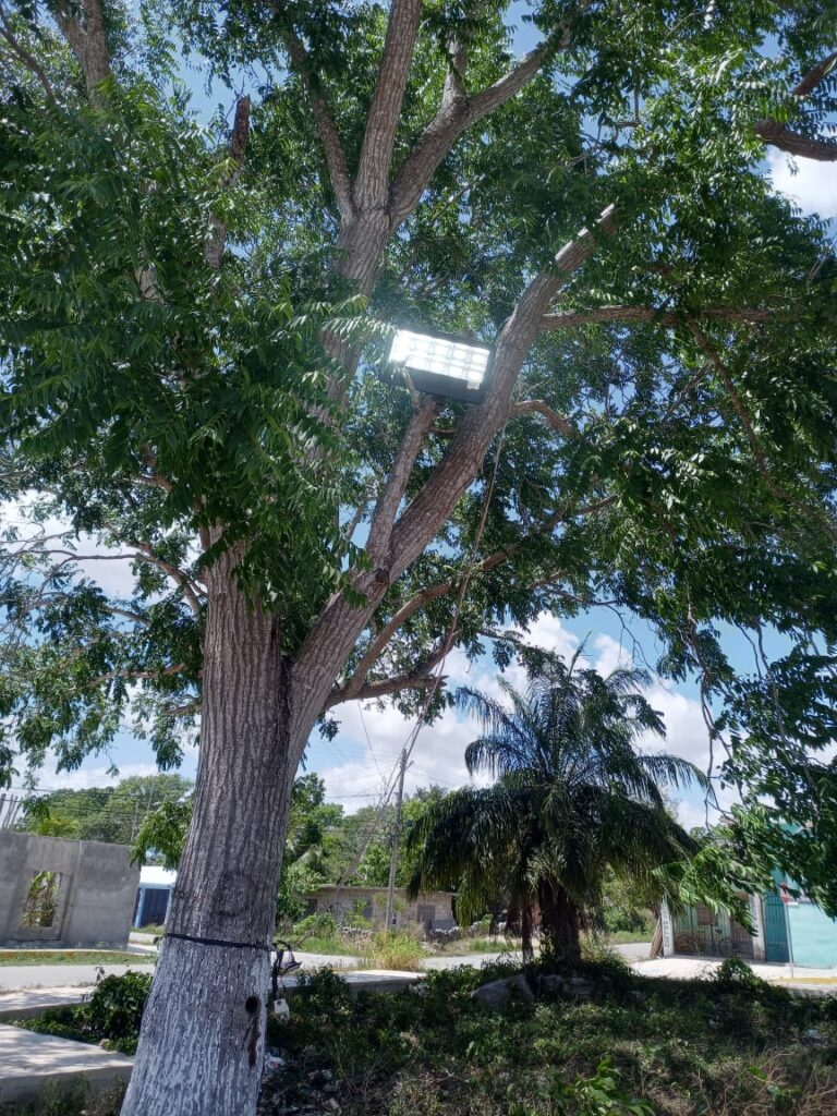 Avanza la jornada de Carrillo Iluminado para todos