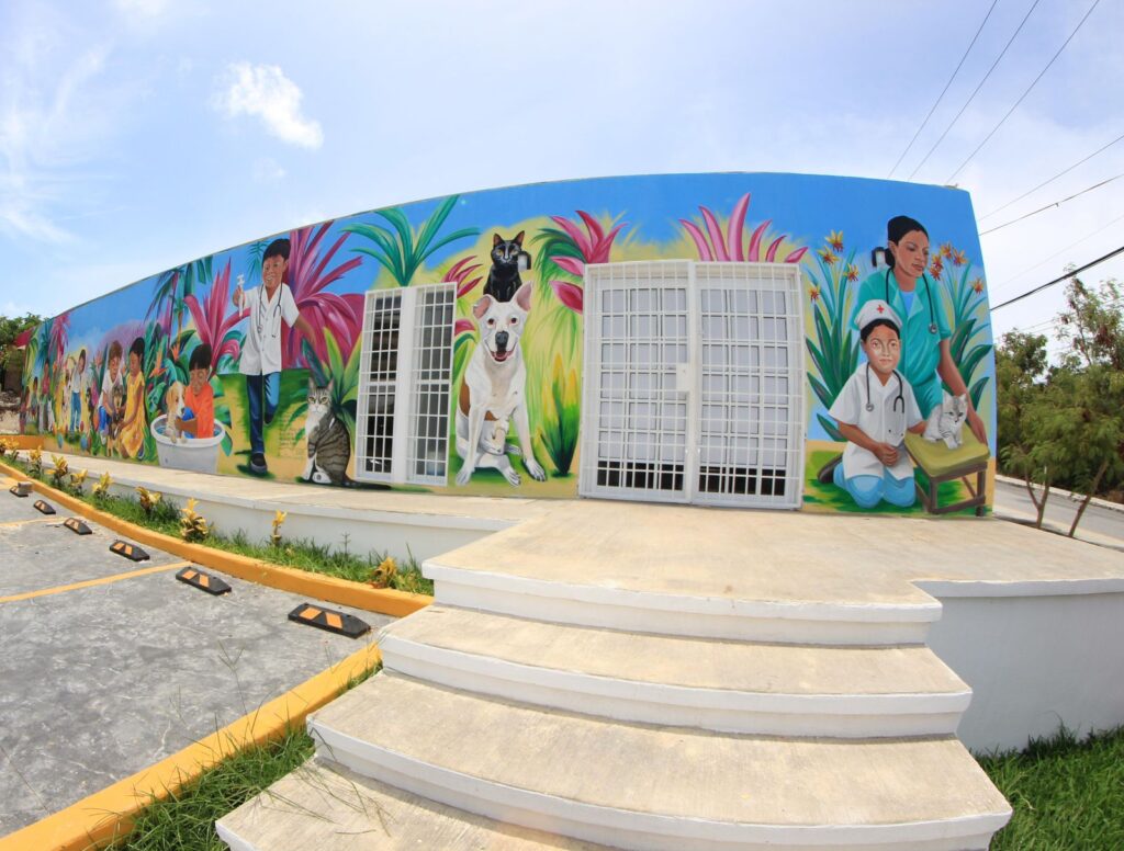 Concluyen los trabajos del mural del Centro de Bienestar Animal en Isla Mujeres