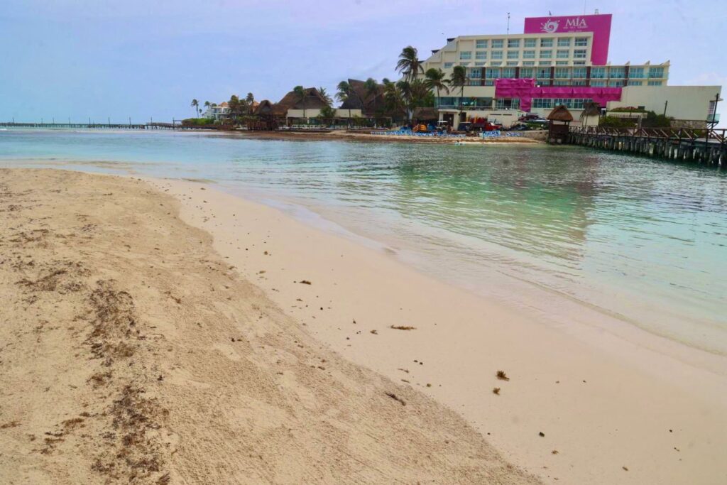 Gobierno Municipal atiende oportunamente recale atípico de sargazo en Playa Norte