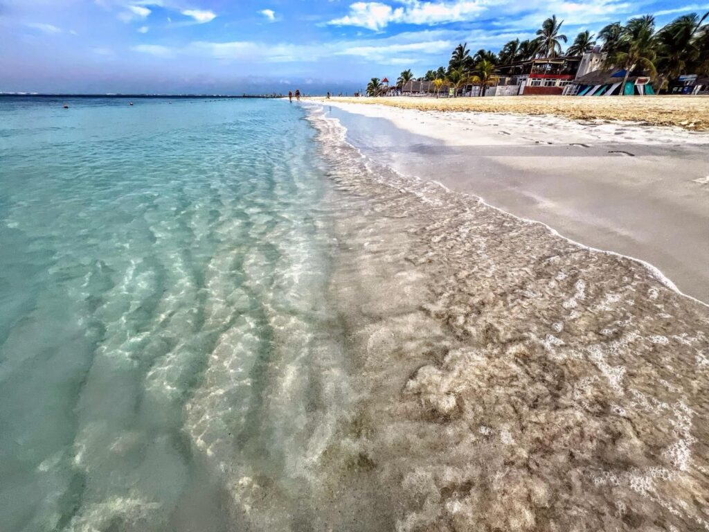 Gobierno de Isla Mujeres atiende oportunamente el arribo de sargazo