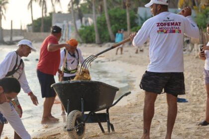 Gobierno de Isla Mujeres atiende oportunamente el arribo de sargazo