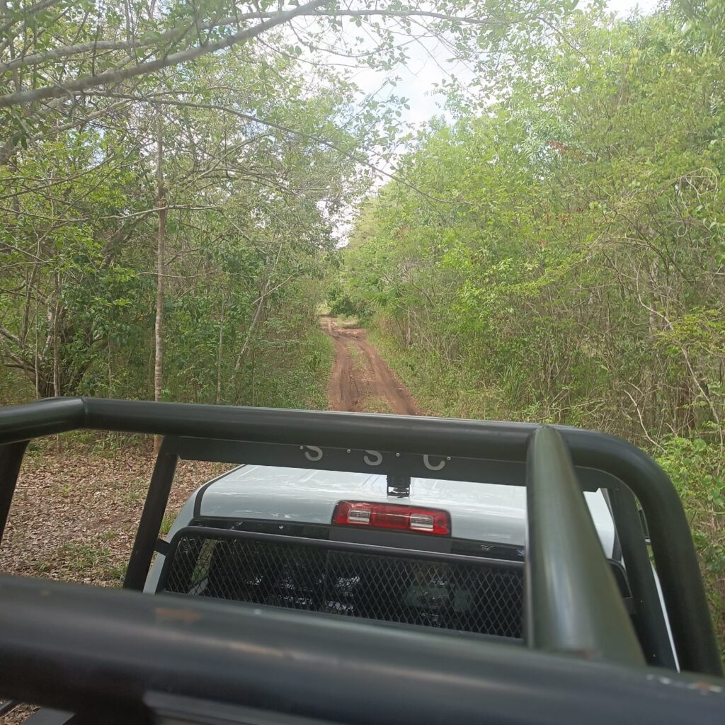 Seguridad Pública coadyuva en la atención a familias carrilloportenses