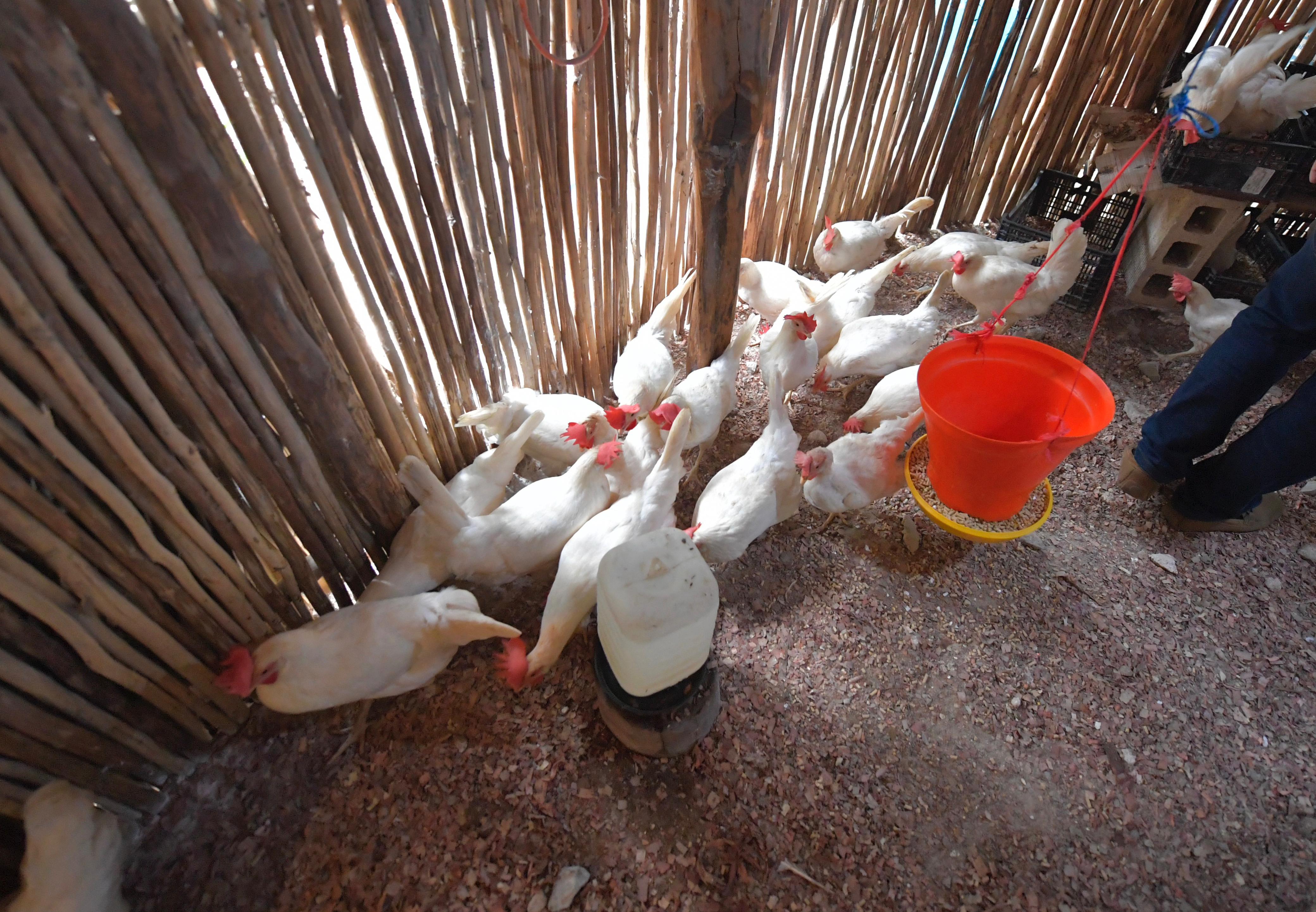 Con el respaldo de la Presidenta Municipal Mary Hernández, se fortalecen los proyectos comunitarios en la comunidad de Señor