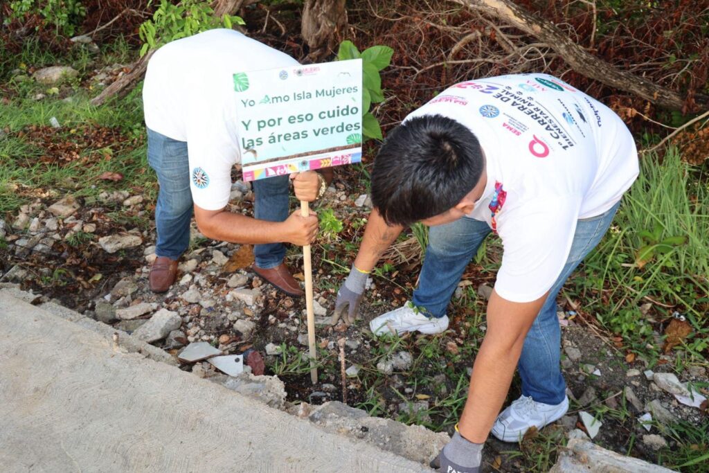 Juventudes isleñas suman voluntades en la segunda brigada“Yo amo Isla Mujeres”