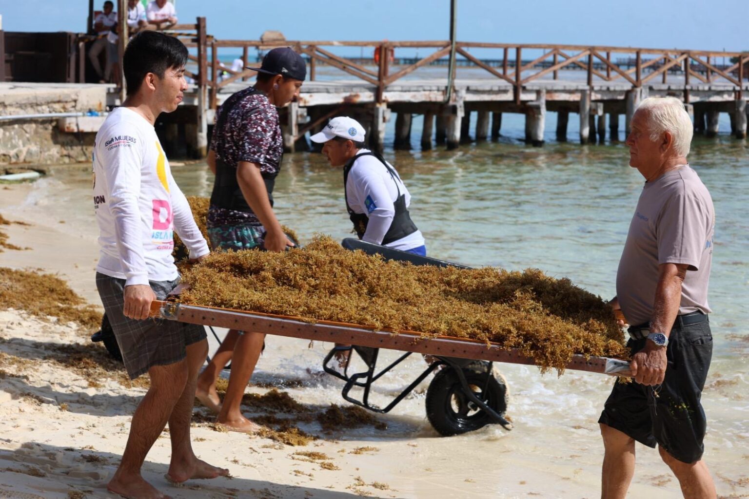 Gobierno de Isla Mujeres atiende oportunamente recale atípico de sargazo en Playa Norte