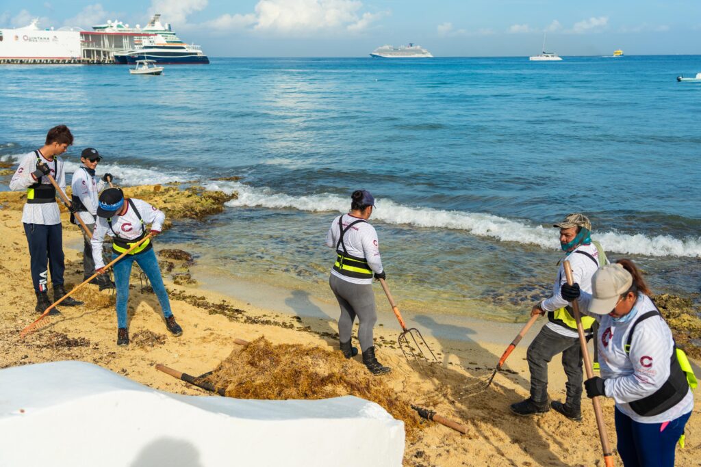 Playas limpias y mar hermoso: Cozumel mantiene su imagen como paraíso turístico