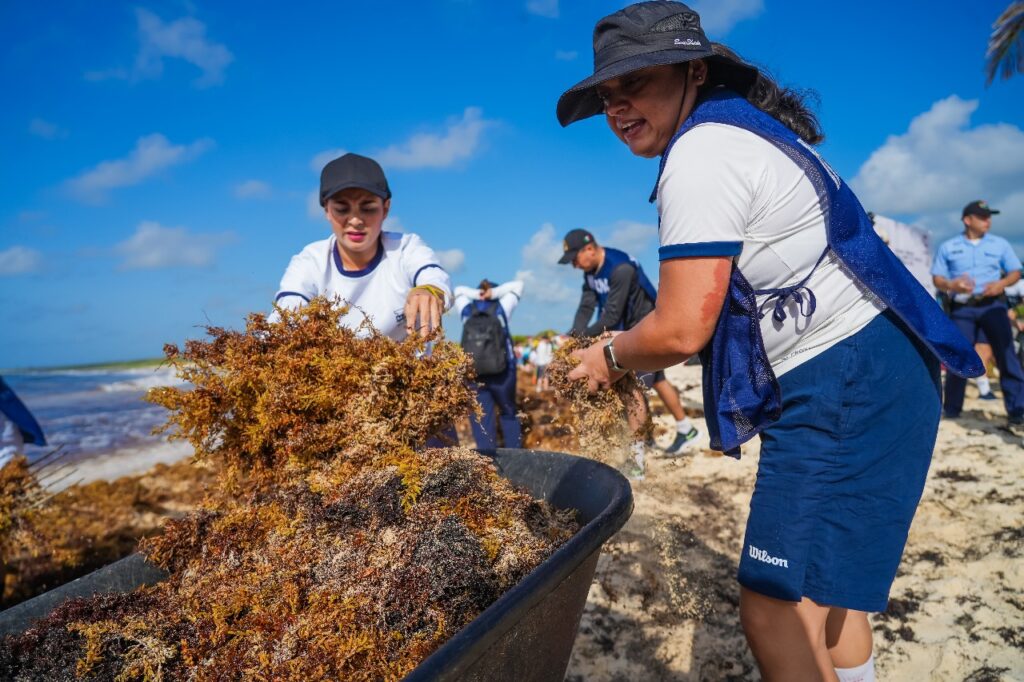 Rompe récord gobierno municipal en jornada de limpieza de sargazo 2025