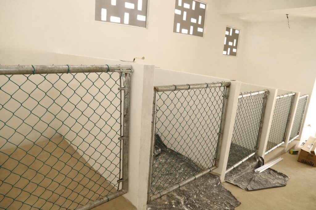 Atenea Gómez Ricalde supervisa los avances del Centro de Bienestar Animal en Isla Mujeres