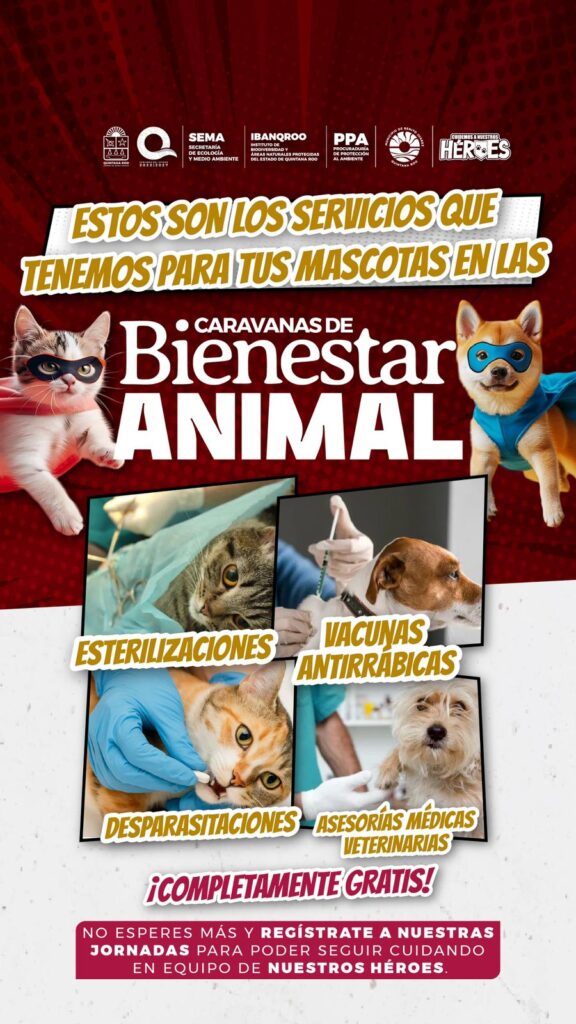 Caravanas del Bienestar Animal Móviles estarán los días 19, 20 y 21, en Prado Norte, Cancún: Mara Lezama