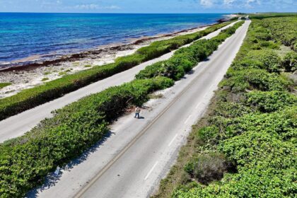 Cozumel se prepara para recibir eventos deportivos internacionales con trabajos de poda y mantenimiento vial
