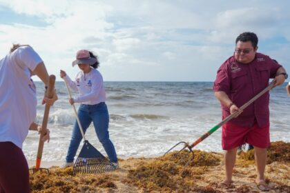 Gobierno de Cozumel recolecta 55 toneladas de sargazo en la 3ª Jornada masiva de limpieza 2025