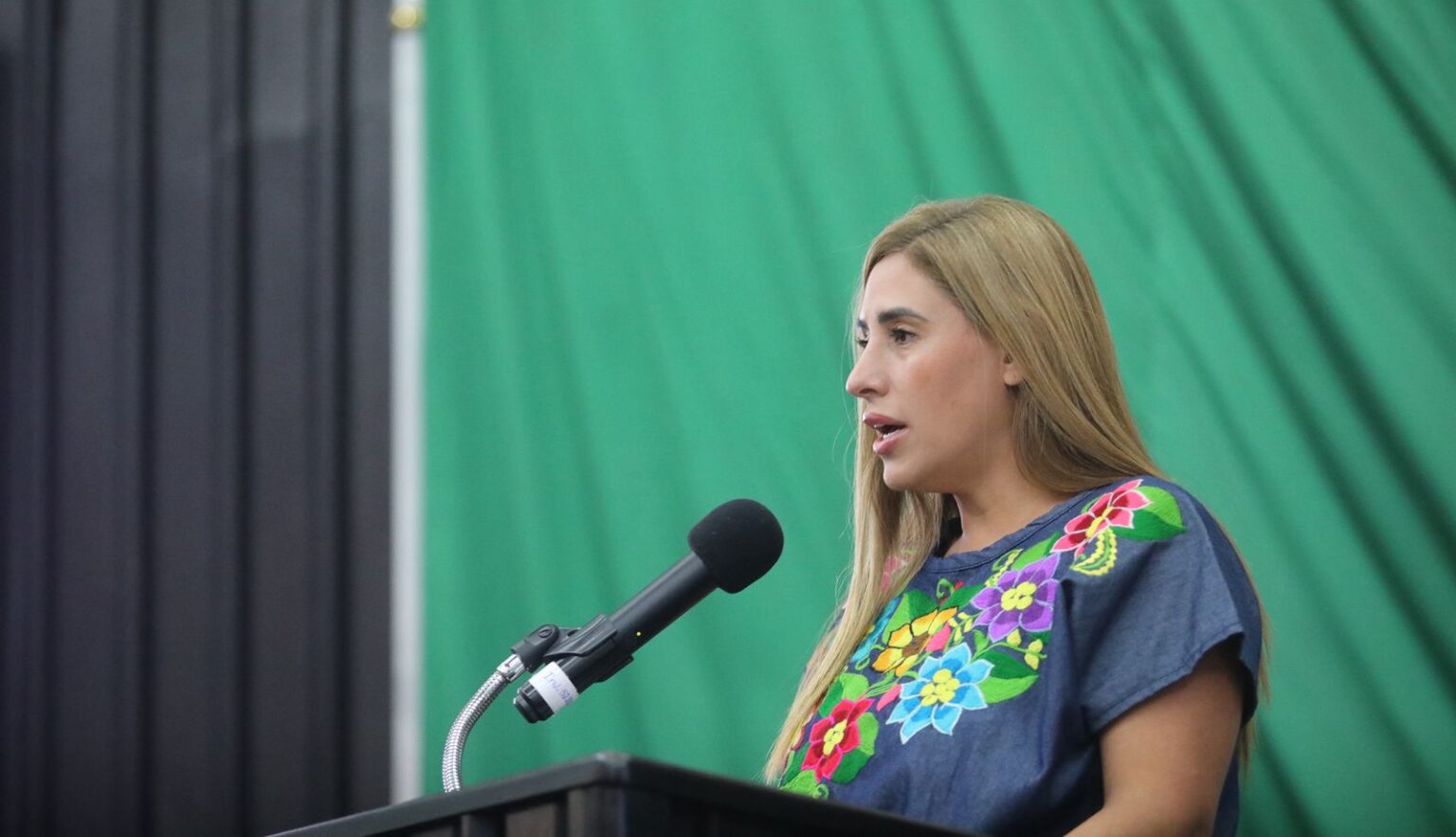 Proponen reforma para evolucionar enfoque de la comisión legislativa de Igualdad