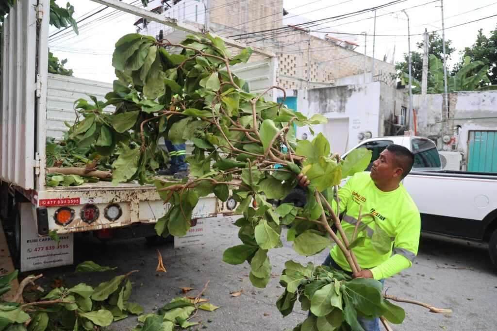 Gobierno de Isla Mujeres refuerza acciones preventivas ante pronóstico de temporal de lluvias