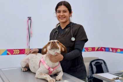 Gobierno de Isla Mujeres refuerza acciones para proteger a los animales, promoviendo la denuncia formal de maltrato