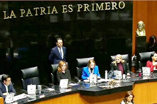 Senado aprueba derechos del consumidor en servicios digitales