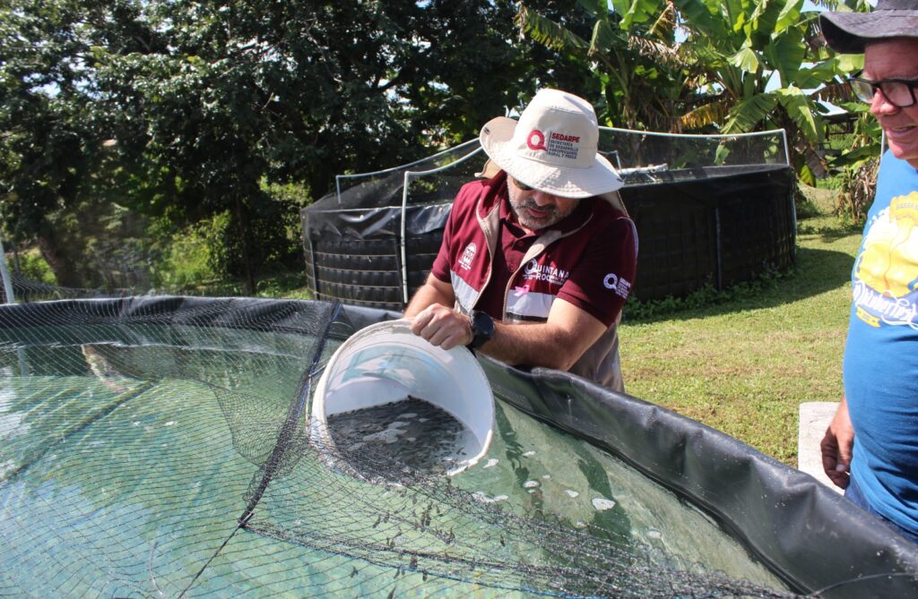 Apoyos históricos en Quintana Roo a la agricultura, ganadería, pesca y desarrollo rural