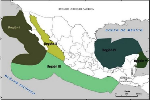Plan Oceánico Sostenible 2025: México Blinda sus Mares