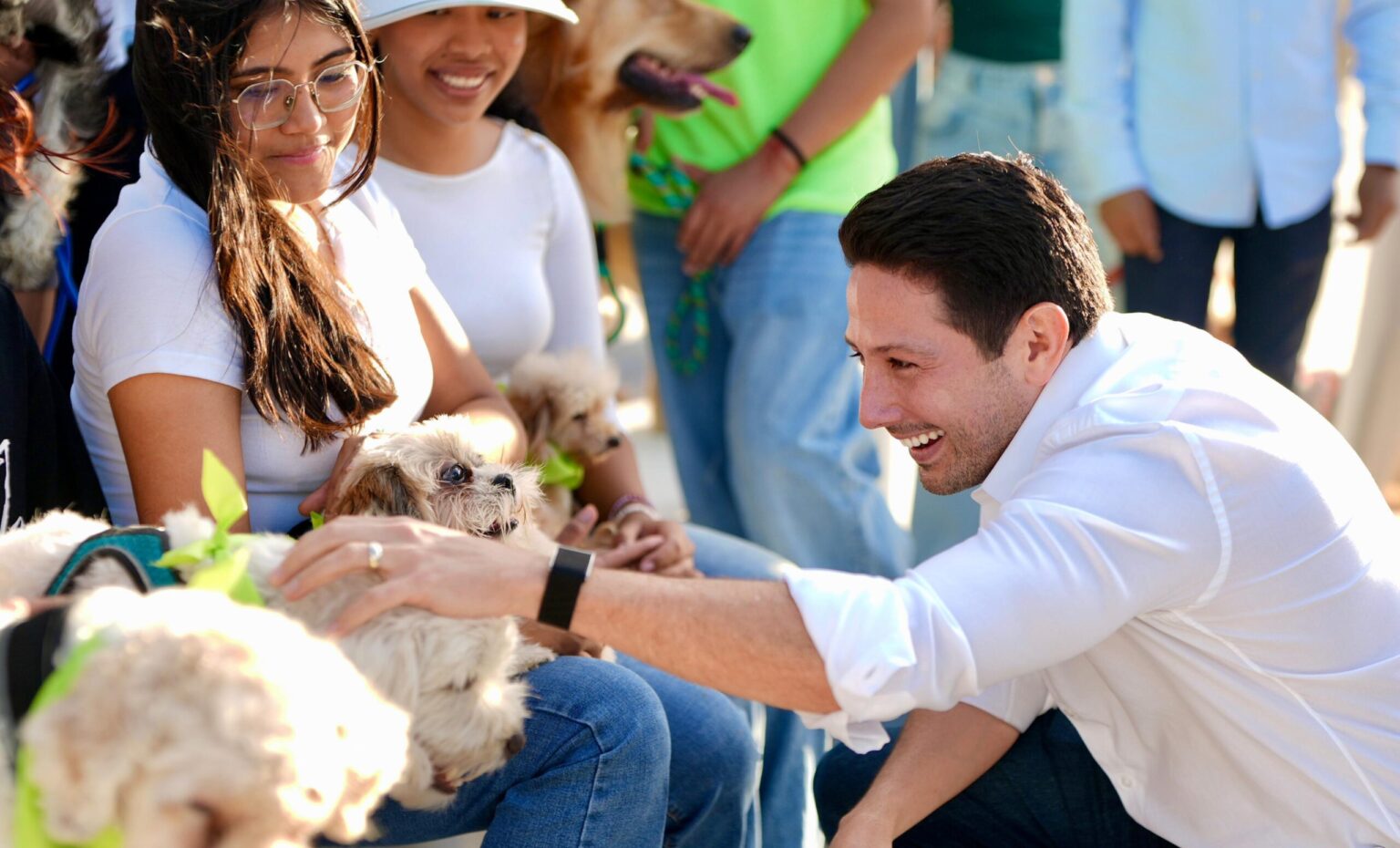 Aprueba Congreso iniciativa de Renán Sánchez Tajonar y el Partido Verde para fortalecer clínicas veterinarias públicas en Quintana Roo