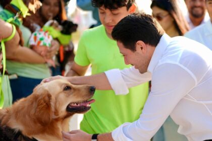 Endurecen sanciones por maltrato post mortem a animales; impulsan regulación de crematorios en Quintana Roo