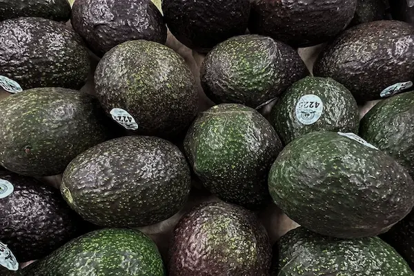 Exportaciones de Aguacate a Estados Unidos Crecen 35 por ciento